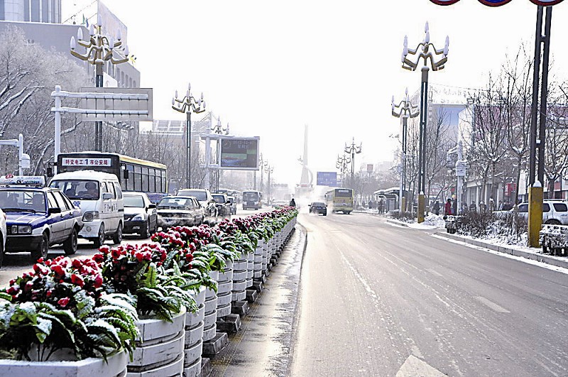 色彩艳丽的仿真花绽放昌吉市街头（图）