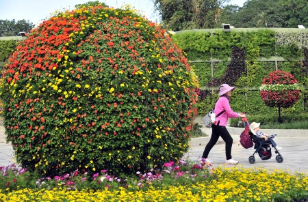 游客在台北花卉展观赏园艺作品