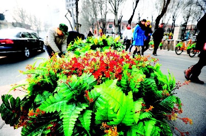 太原桃园路摆设绢花 美化环境（图）