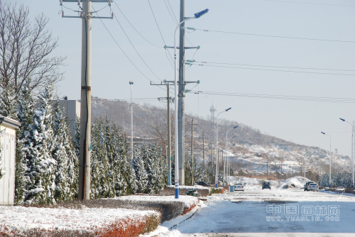 山东：石岛园林管理处积极除雪 确保苗木安全