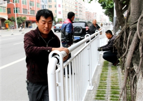 石狮市香江路安装人行道安全护栏（图）