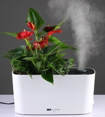 广州友家研发超声波加湿器花盆改善室内空气