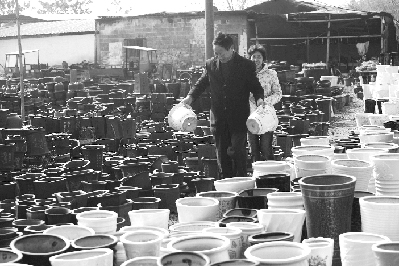 浙江永康市：陶瓷花盆市场走俏