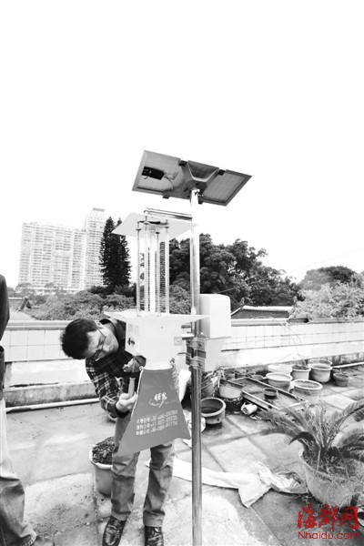 西湖公园装太阳能杀虫灯