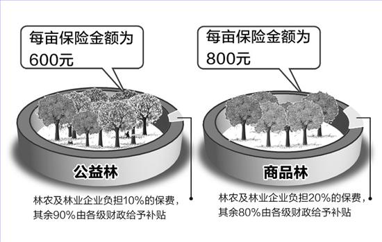 河北财政助力生态环境改善 投保森林险将获至少八成补贴