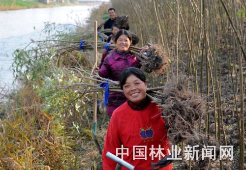 江苏：泰兴航道构筑百里“生物坝”