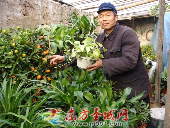 计生户郭朝冬在管理花卉一角