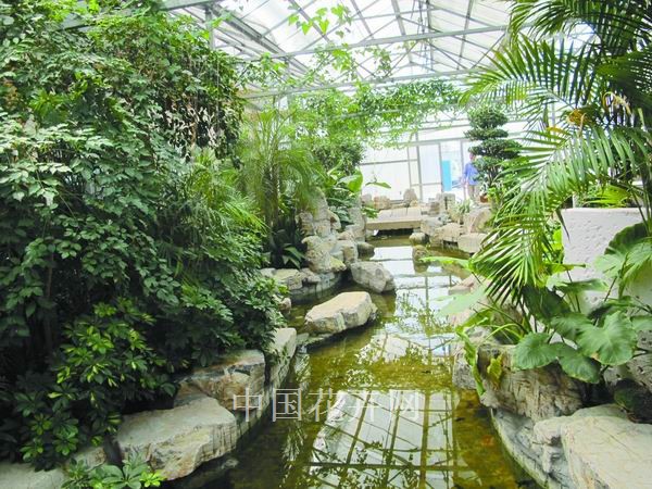 水系让植物更灵动