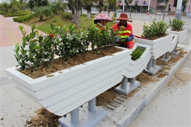 安装400余组花箱 石狮两条主干道添新景