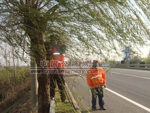 江苏：高邮公路开展冬季绿化养护为路树“整容穿衣”