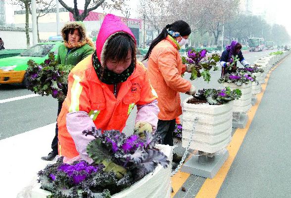 宝鸡市：花坛型护栏成为经二路上靓丽风景