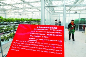 北京智能温室精准控温国际一流