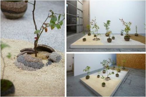 创意环保花盆：伴随花朵的一生