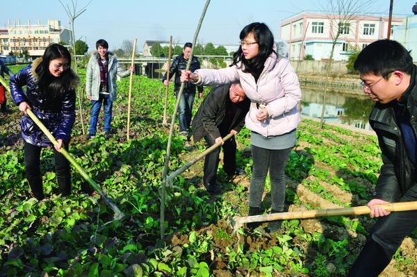 驻村干部齐心协力植树