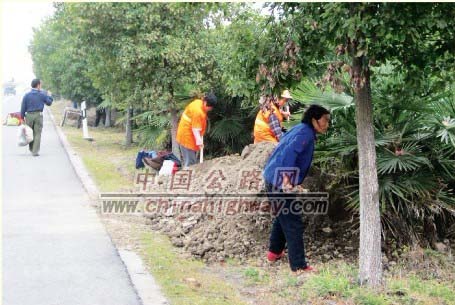 养护人员对干线公路的绿化苗木全面实施冬季施肥