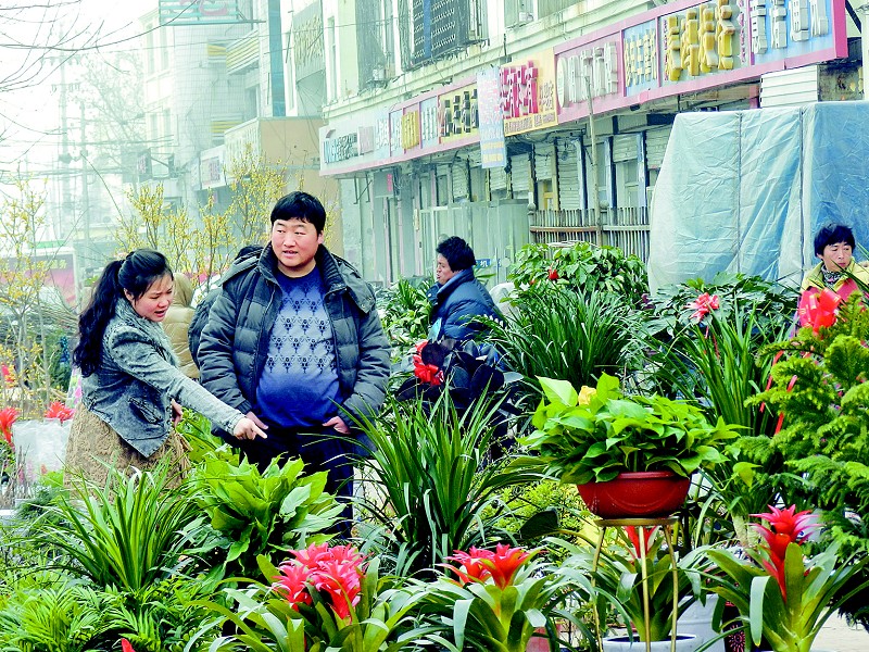 市民在市曹州路花卉市场购买鲜花