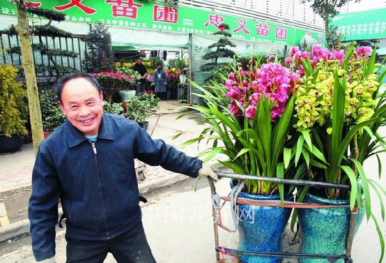 成都市高店子花卉交易市场,一位花商正在搬运已销售的大花蕙兰