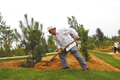 2011年9月3日，八达岭林场，一位市民在植树