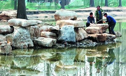 青岛：免伤树林 15吨巨石“跳高”入湖(图)