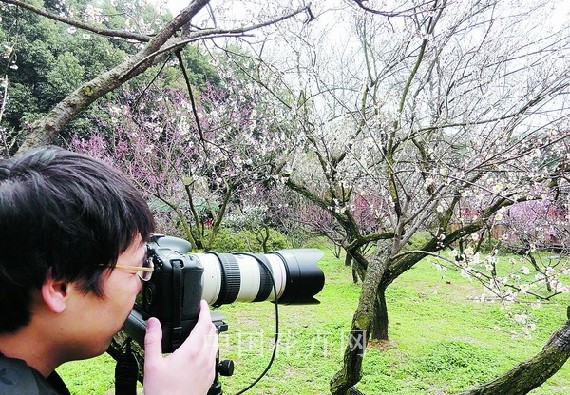 江苏无锡梅园梅花进入最佳赏花期