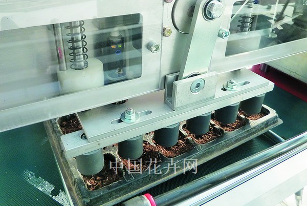 园艺设备：播种机生产线应用技术要点