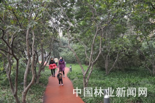 该市新增的天山河畔园林式居住区健身道景观面貌。