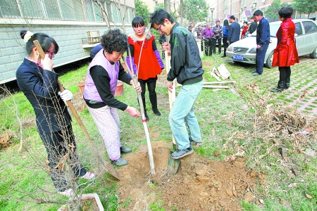 物业将小区绿地之树连根拔除