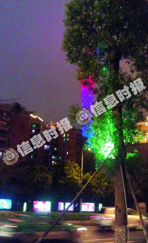 同样是艺洲路，一边亮灯，一边不亮灯。