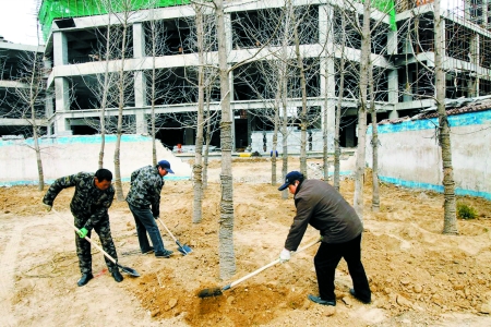 事发地点在郑东新区康平路与商鼎路交叉口处