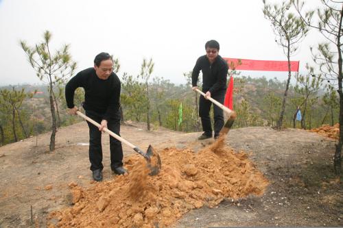 兴国县开展义务植树整地活动