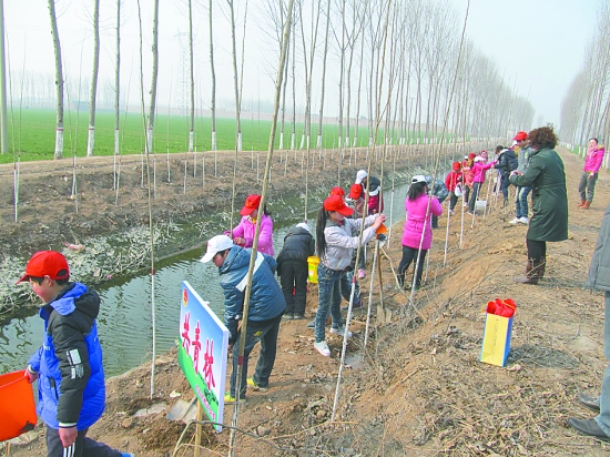 3月14日，青年志愿者在修武县大沙河三里屯段栽植“共青林”。