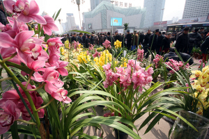 兰州：花贩“趁热打铁” 植树节变“卖花节”