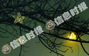 在海珠区艺洲路上，很多绿化树上的灯饰都已经坏掉，有些亮有些不亮。