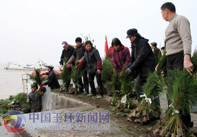 玉环植树造林