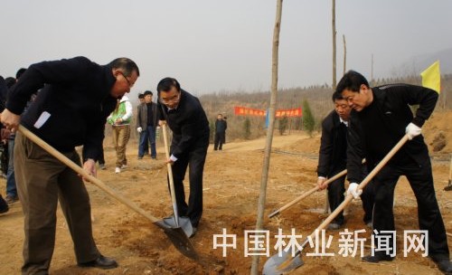 张庆黎(左二)和省市林业部门的干部职工一起义务植树