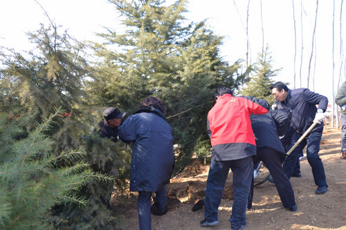 适逢植树节 高新区干部职工为园区再添一抹绿意