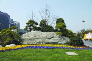 近百吨的景观石落户扬州新城西区