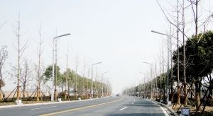 扬州扬菱路仿古路牙灯首次亮相