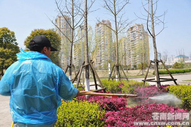 浙江温州市灵溪镇喷洒农药防虫害（图）