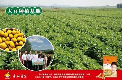 永和豆浆发展低碳植物产业