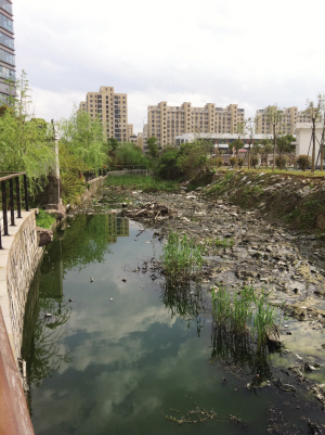 不到一年 美丽景观河竟成了臭水沟