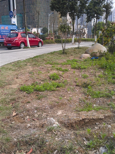 锦江路与府东路交叉口西南侧绿地