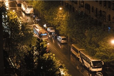 春雨降临 街旁的树木