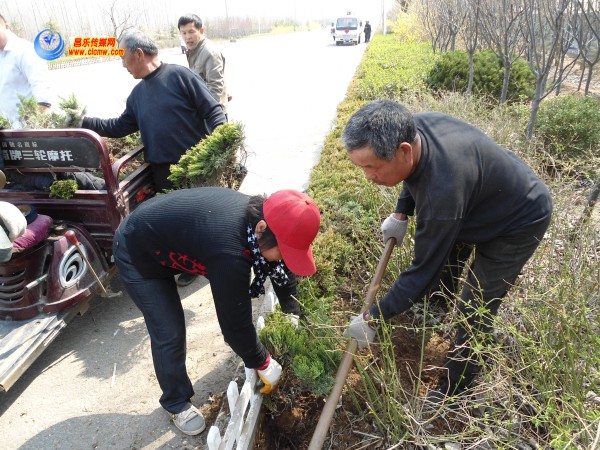 山东：红河绿化“查漏补缺”保质量