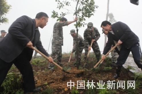 重庆市林业局领导与官兵一同植树