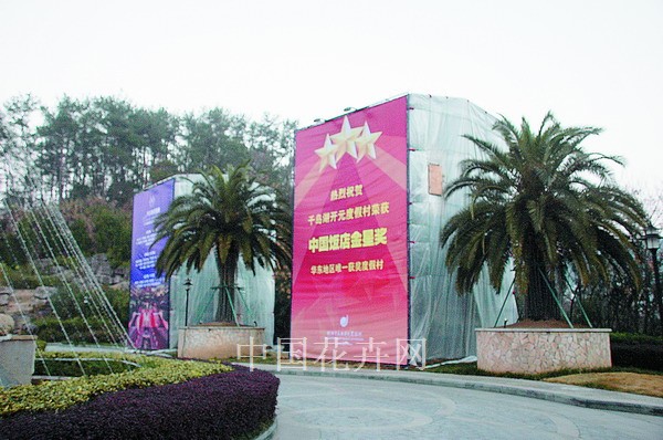 杭州某酒店前种了两株能体现“南国风光”的榕树。每年深秋都要为它们搭钢架大棚，覆塑料薄膜，用空调补热，这能算低碳吗？