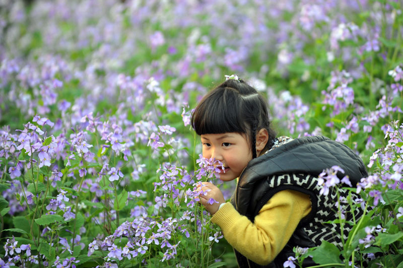 杭州：灿烂春日 百花绚放