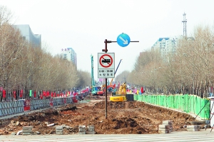 宽平大路中间大树被“搬家”