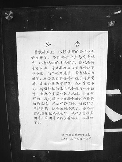 “寻人公告”