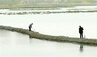 银川：宝湖公园将种水上植物